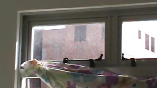 Ngon miệng rám nắng brunette Babe Savannah Stern được mồ hôi trong khi được fucked phim xxx vl